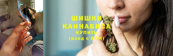 сатива Навашино
