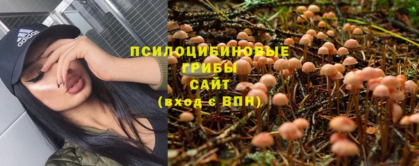 сатива Навашино
