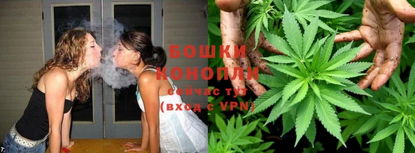 сатива Навашино